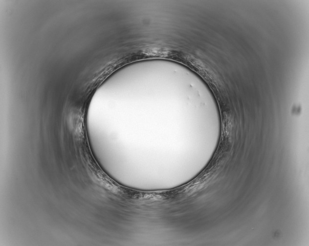 X0000093361154200711011201