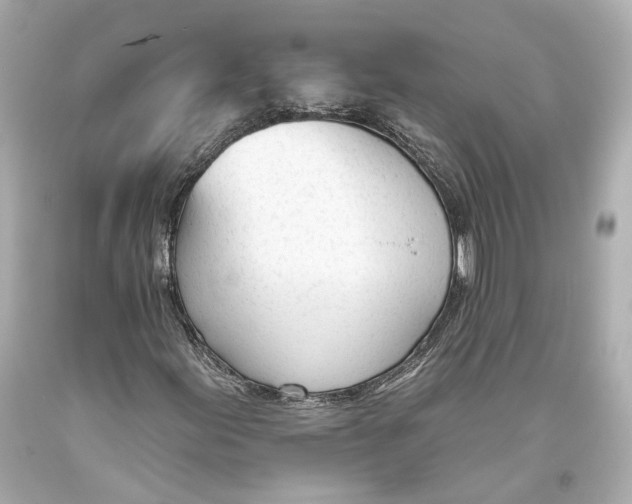 X0000093361155200711011201