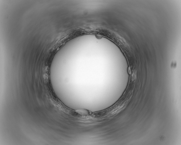 X0000093361156200711011201