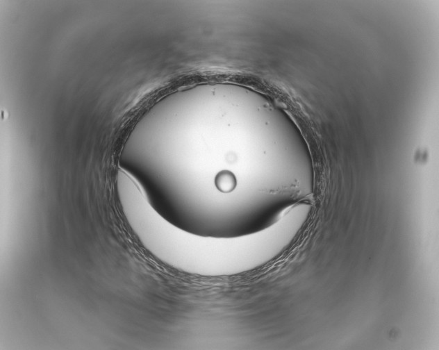 X0000093361157200711011201