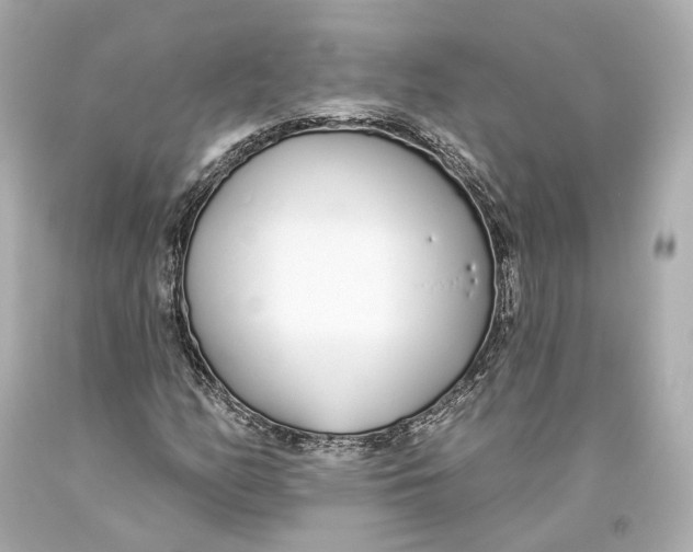 X0000093361158200711011201