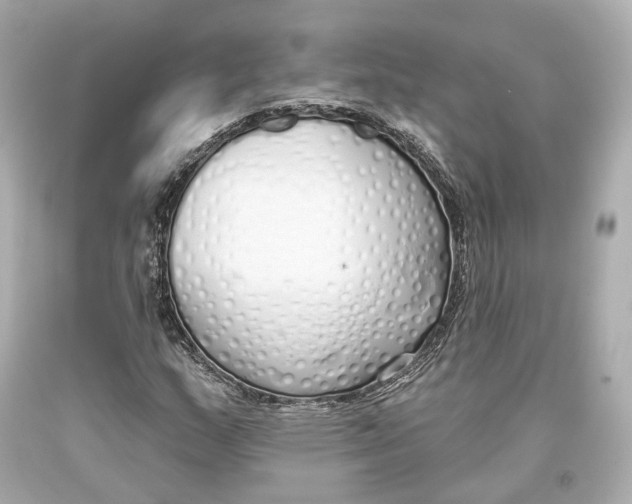 X0000093361159200711011201