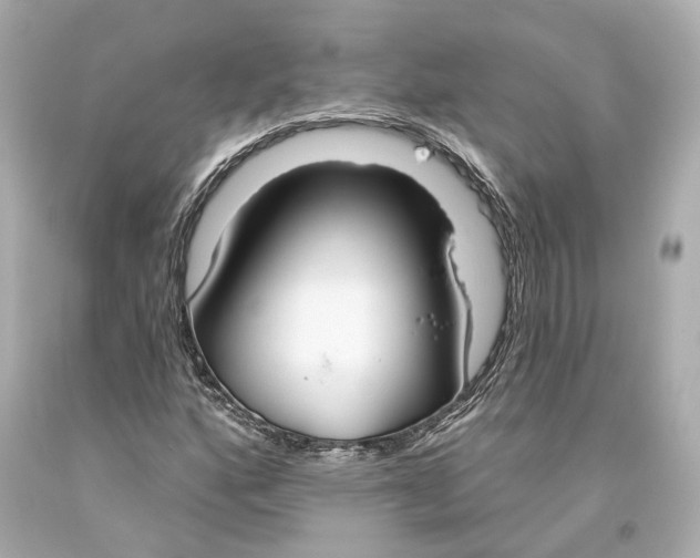 X0000093361160200711011201