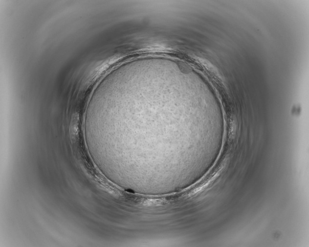 X0000093361161200711011201