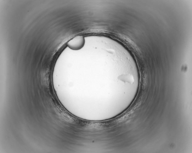 X0000093361162200711011201