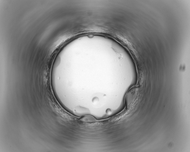 X0000093361163200711011201