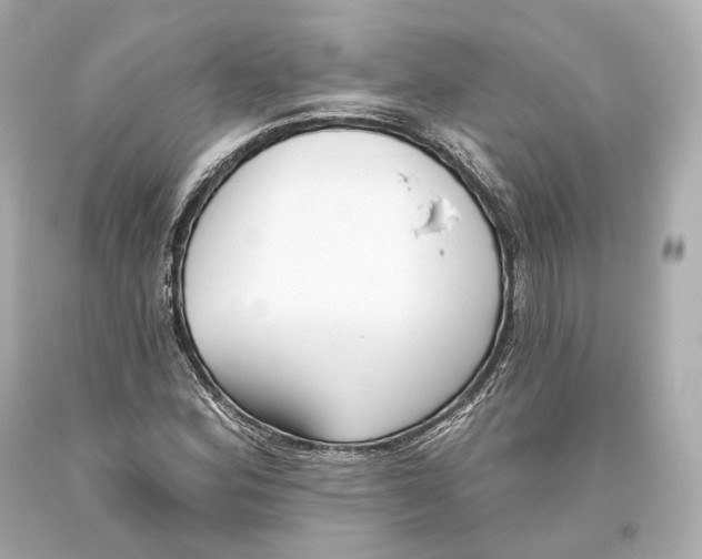 X0000093361164200711011201