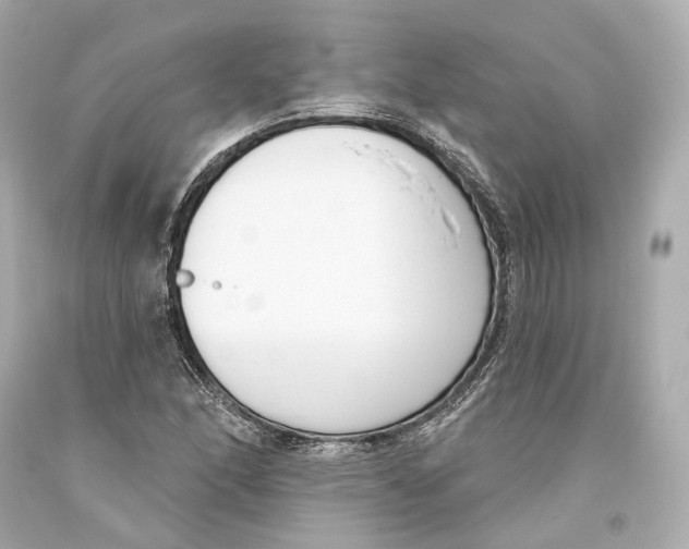 X0000093361166200711011201