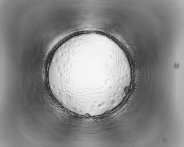 X0000093361167200711011201