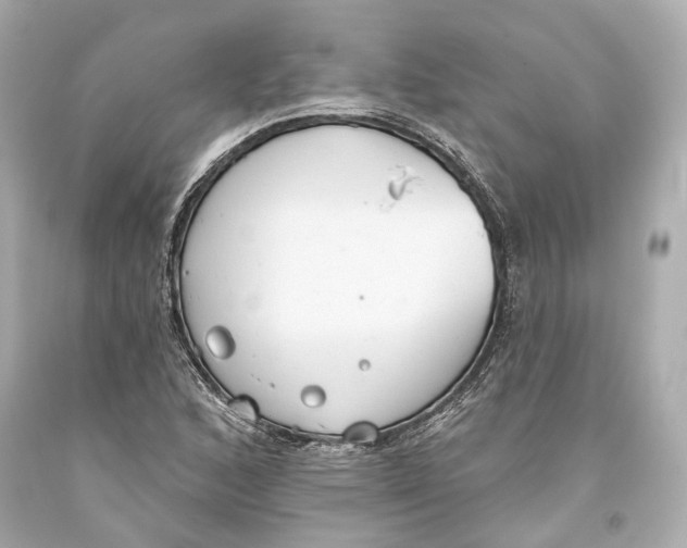 X0000093361168200711011201