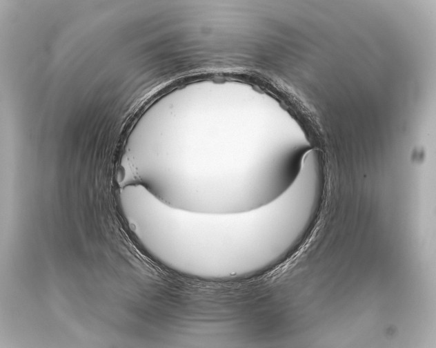 X0000093361169200711011201