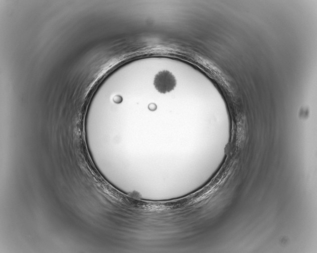 X0000093361170200711011201