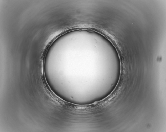 X0000093361171200711011201