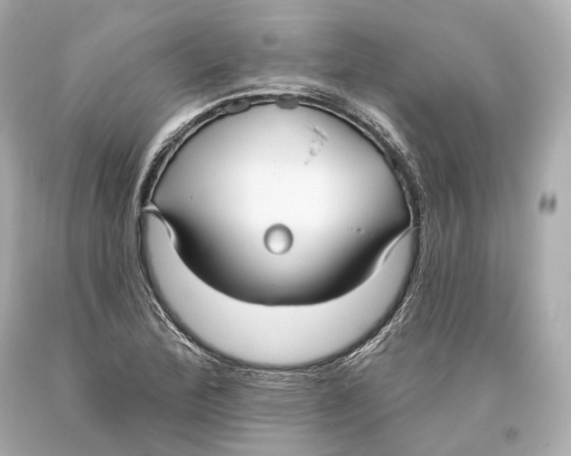 X0000093361172200711011201