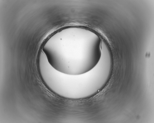 X0000093361173200711011201