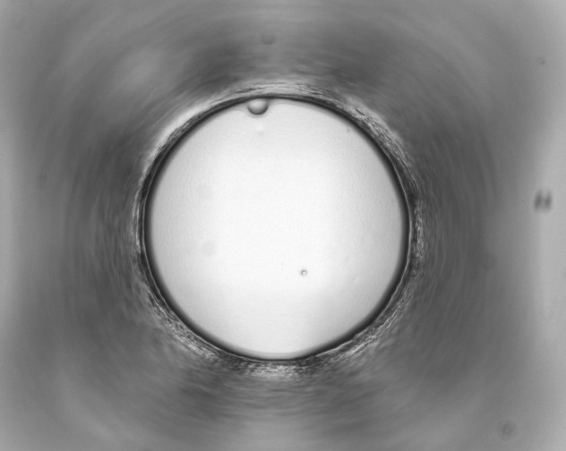 X0000093361174200711011201