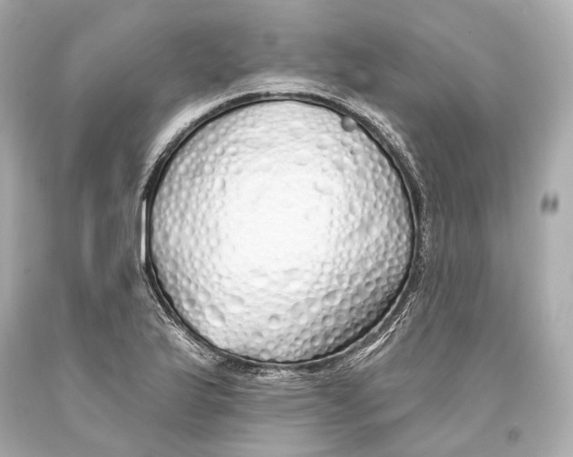 X0000093361175200711011201