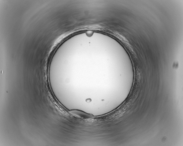 X0000093361176200711011201