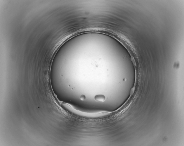 X0000093361177200711011201