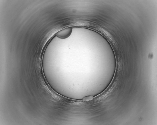 X0000093361178200711011201