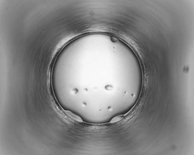 X0000093361179200711011201