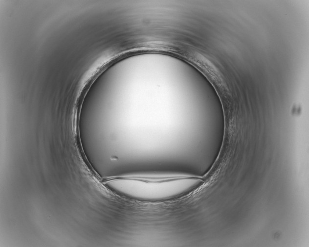 X0000093361180200711011201