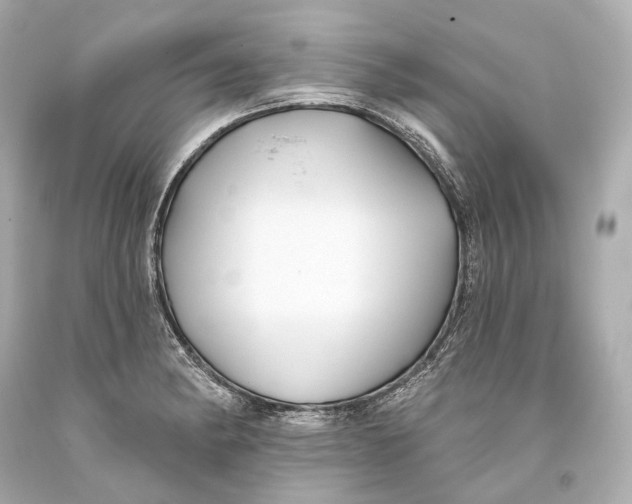 X0000093361182200711011201