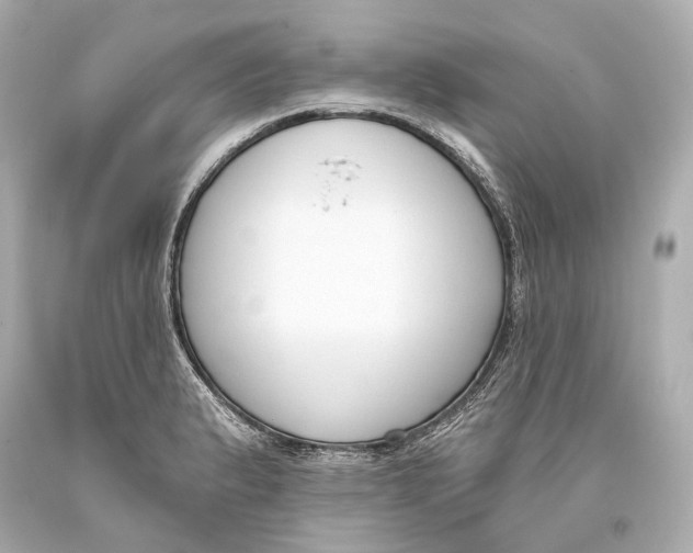 X0000093361183200711011201