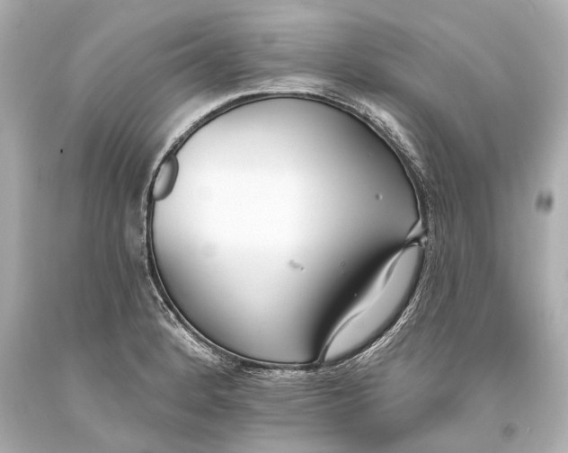 X0000093361184200711011201