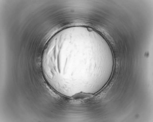 X0000093361185200711011201