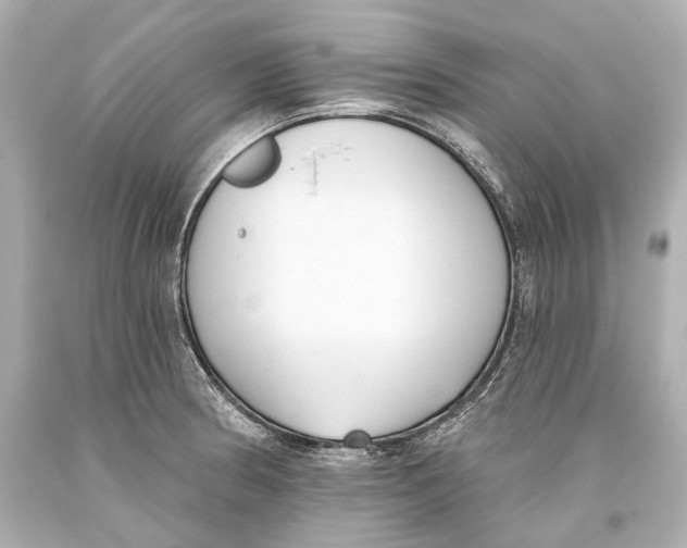 X0000093361186200711011201