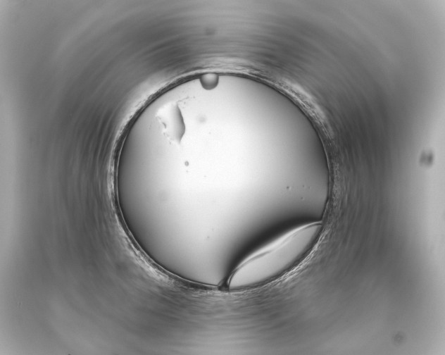 X0000093361188200711011201