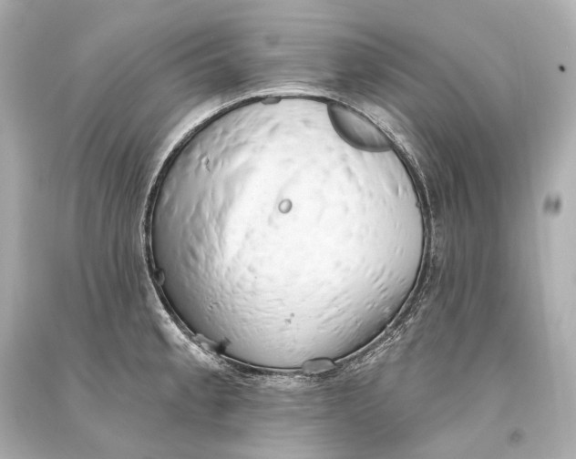 X0000093361189200711011201