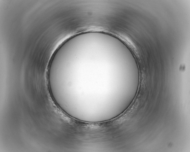 X0000093361190200711011201