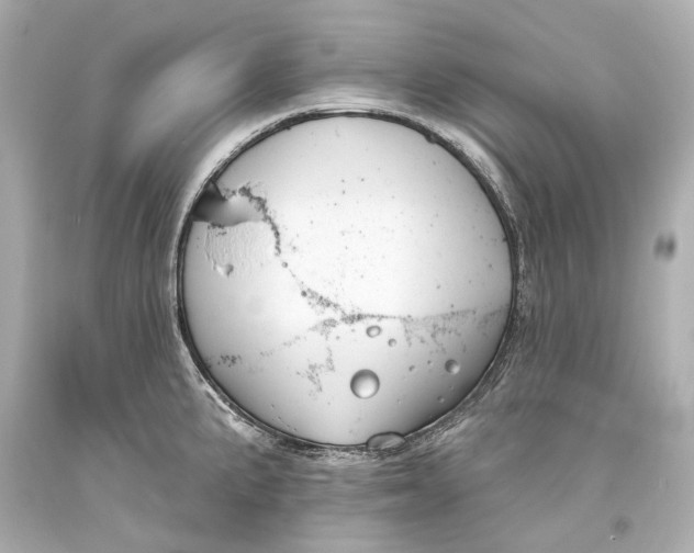 X0000093361191200711011201