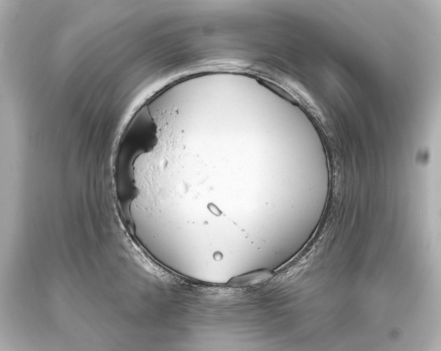 X0000093361192200711011201