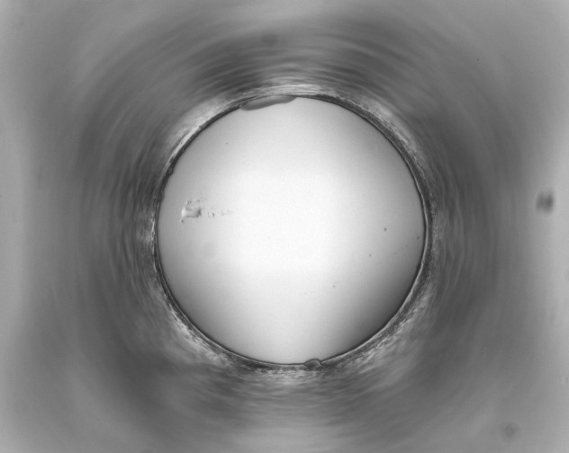 X0000093361193200711011201