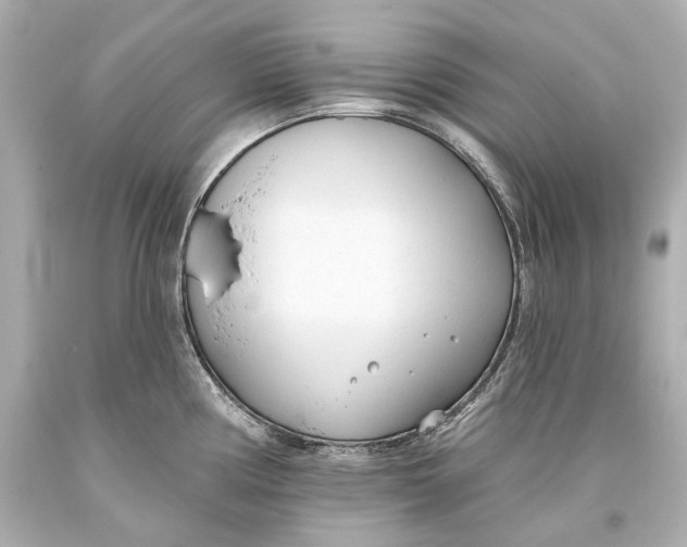 X0000093361194200711011201