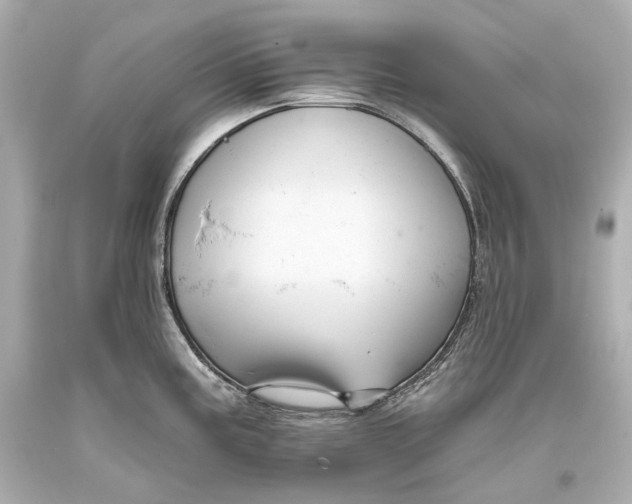 X0000093361195200711011201