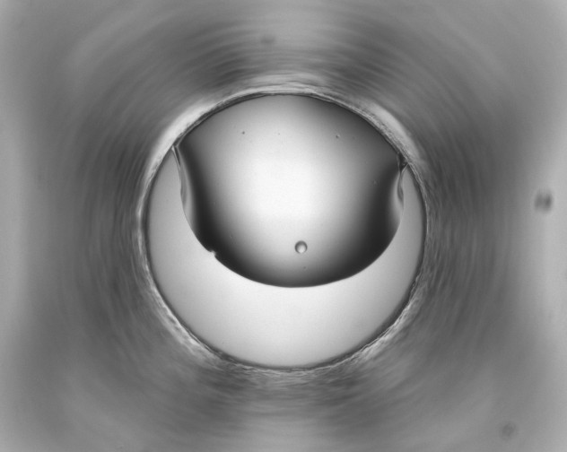 X0000093361196200711011201