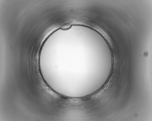 X0000093361198200711011201