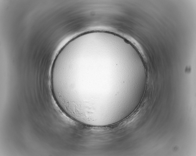 X0000093361199200711011201