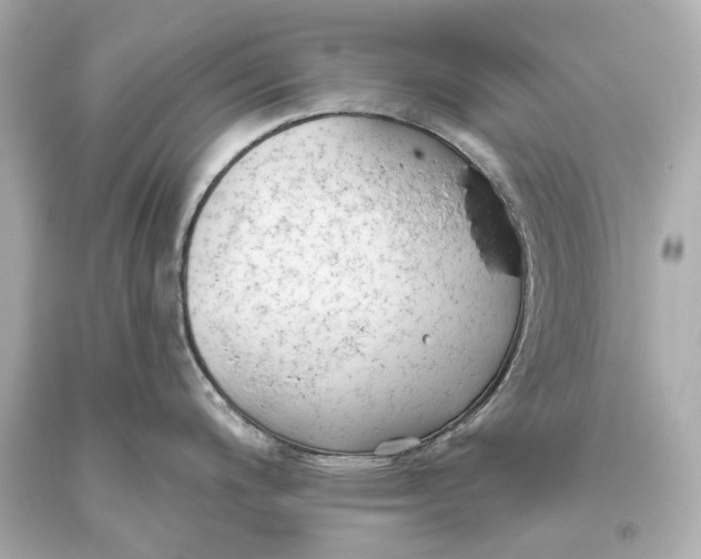 X0000093361200200711011201