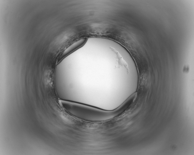 X0000093361202200711011200