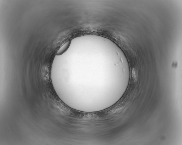 X0000093361203200711011200