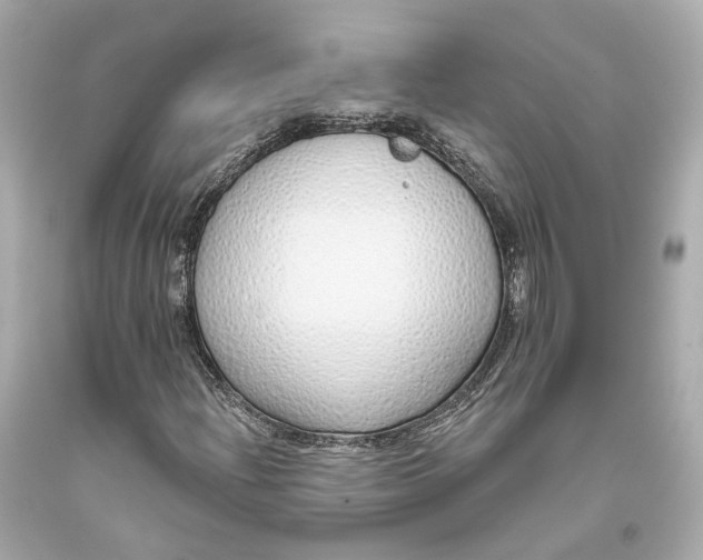 X0000093361204200711011200