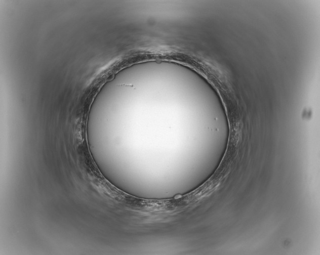 X0000093361205200711011200