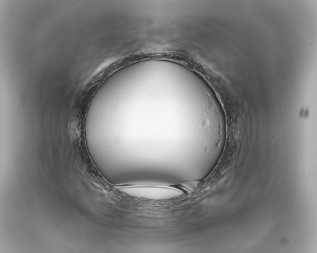 X0000093361206200711011200