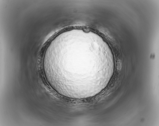 X0000093361208200711011200