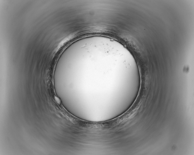 X0000093361210200711011200